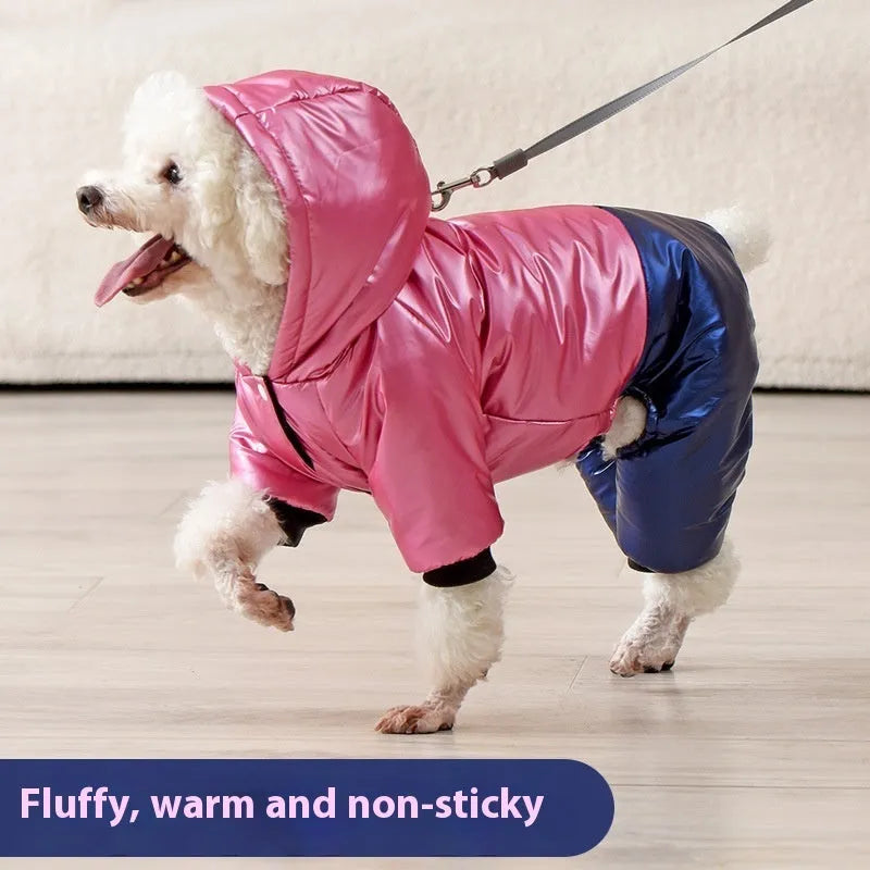 Green waterproof windproof cotton dog coat on four-legged pet