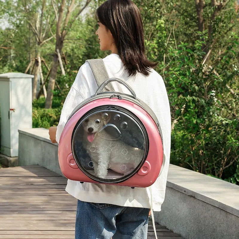 Transparent space capsule design cat carrier bag in a choice of rose gold, silver or champagne gold colour.