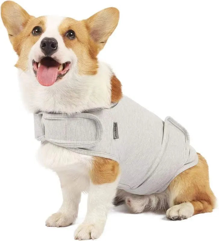 Brown dog anxiety relief tank top jacket on canine model showing casual pet clothing design