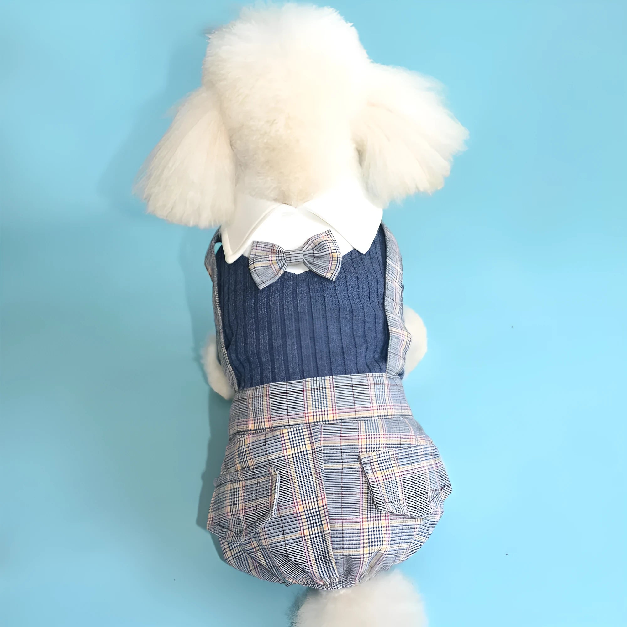 Orange and dark blue cotton dog shirt for small dogs, shown in sizes S to 2XL.