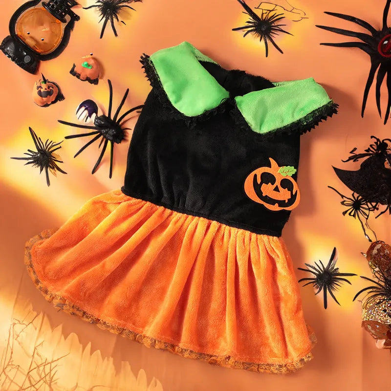 Halloween pet costume with pumpkin skirt and sweater designs in crystal velvet material