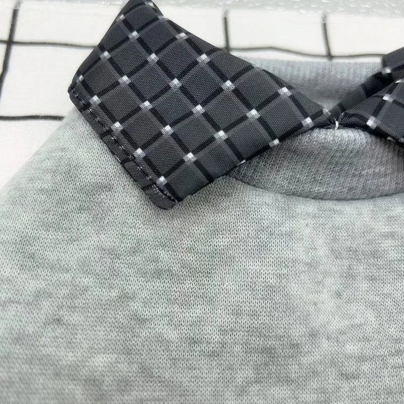Grey dog wearing thin velvet sweater with detachable hoodie - two-piece pet clothing