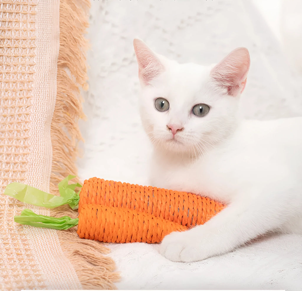 Assortment of cat toys including paper carrots, ringing stones, and textured chewing sticks in two size options, L and S.