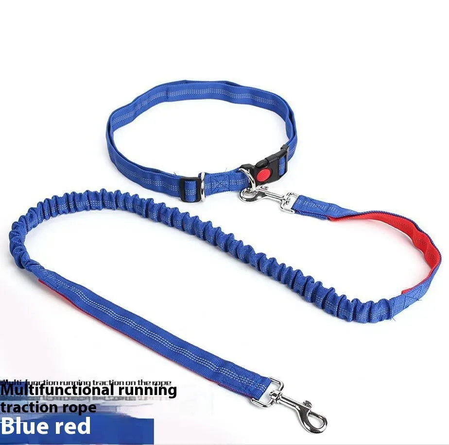 Grey and green two-tone reflective elastic dog leash held in a hand, showing its 2.5cm width.