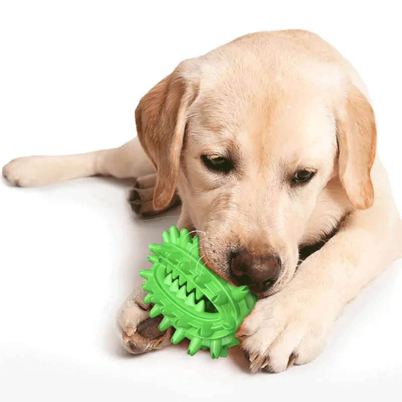 Green and yellow cactus-shaped dog toothbrush chew toy for medium to large dogs.