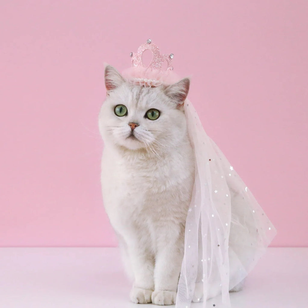 Pet cat wearing princess crown headdress with cotton polyester veil in beige colour