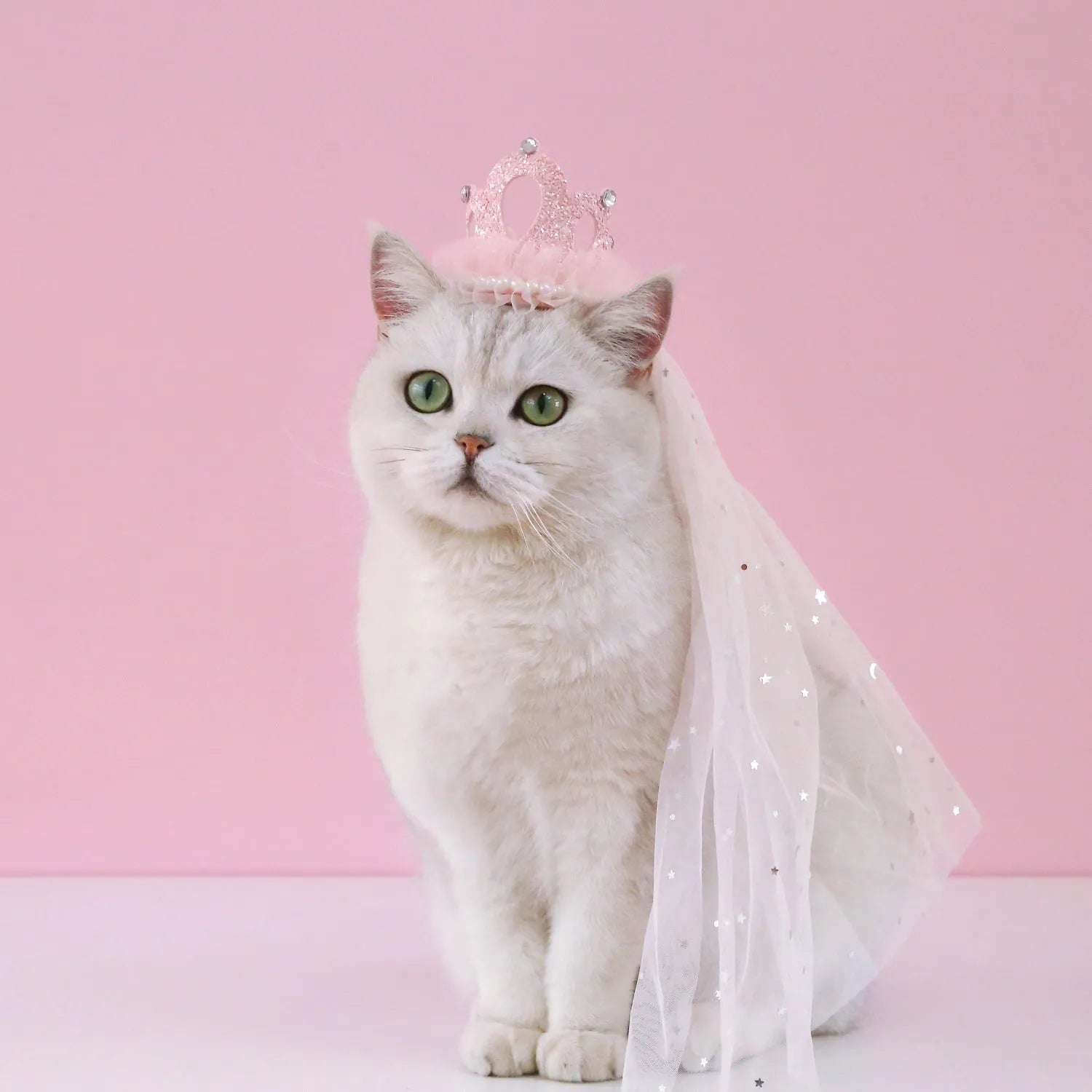 Pet cat wearing princess crown headdress with cotton polyester veil in beige colour