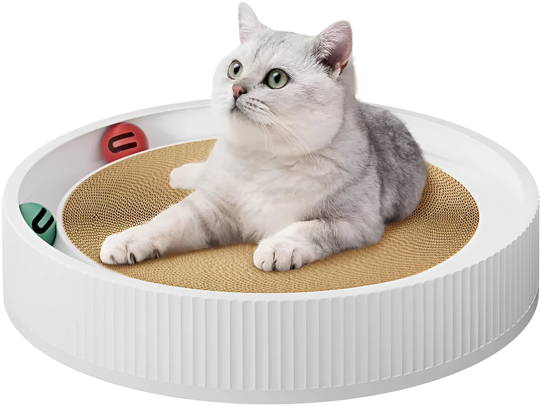 Large circular cat scratching board with integrated ball toys and replaceable cardboard core