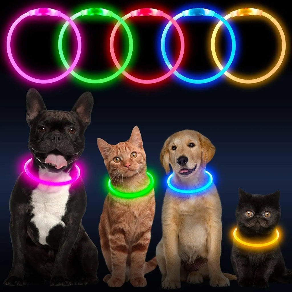 USB rechargeable LED dog collar glowing in dark with adjustable 70cm length
