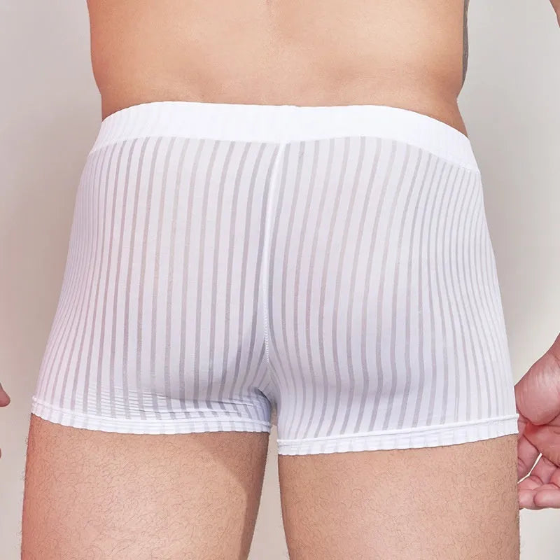 Men's striped transparent nylon underwear in black, white, and dark grey colours