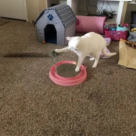 Circular blue cat scratcher with rolling ball track and replaceable corrugated cardboard centre pad