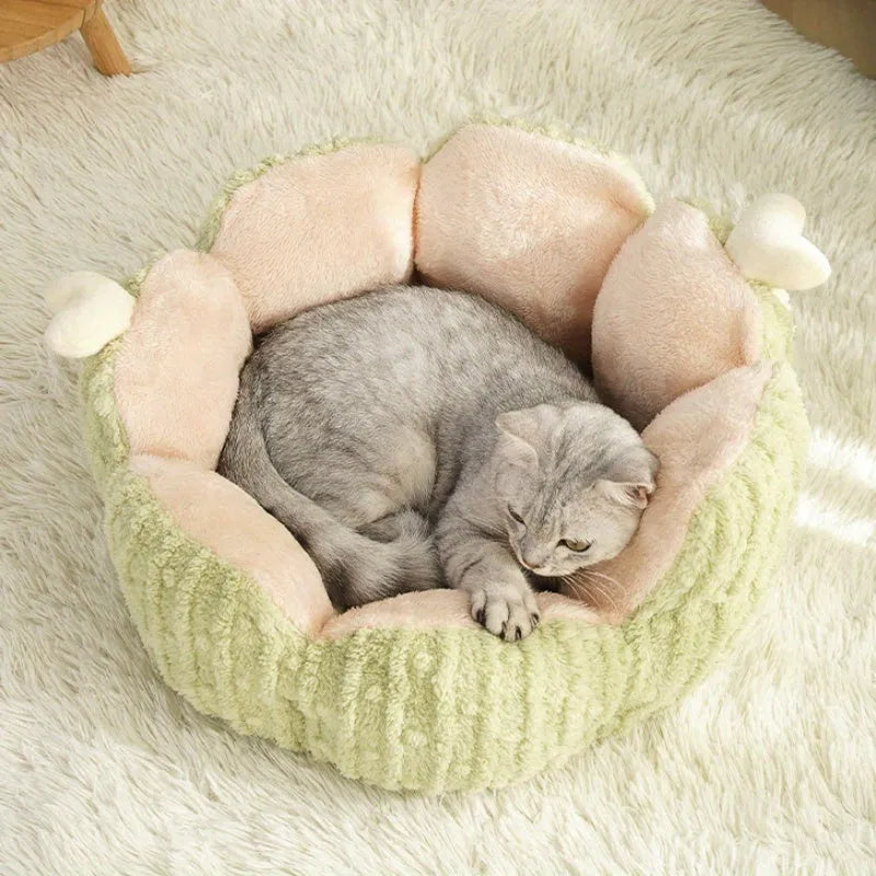Soft green cactus-shaped pet kennel house for cats, shown next to a smaller purple version.