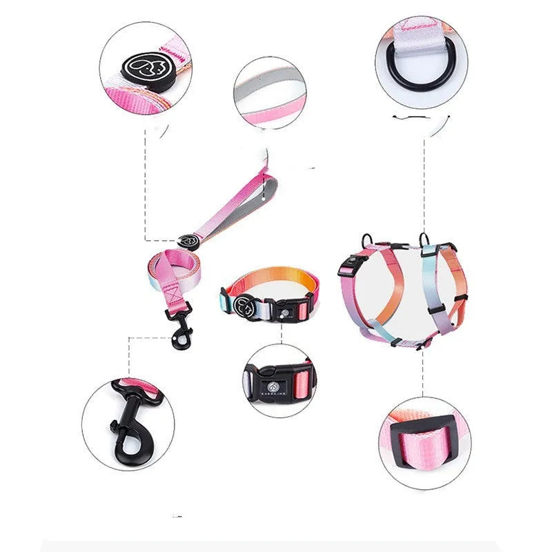 Gradient colour pet harness with adjustable chest strap in four pattern options