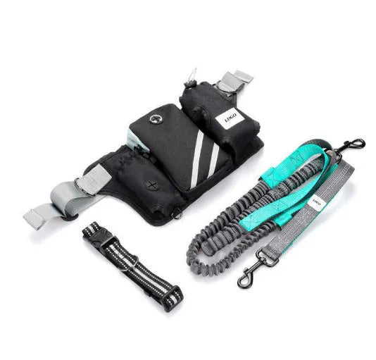 Black nylon outdoor pet training bag set with waist bag and collar leash for dog walking