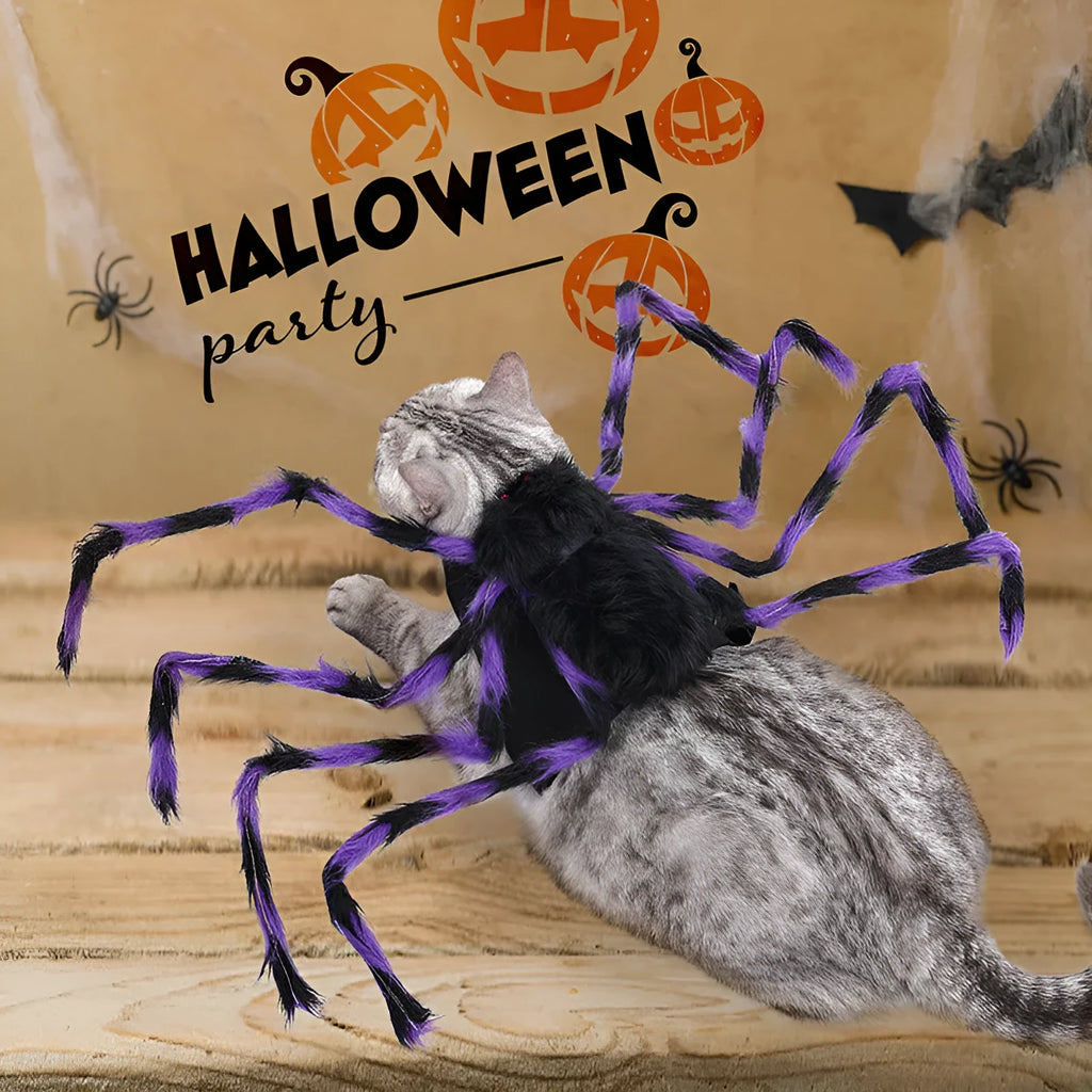 Halloween spider costume for pets in polyester with multiple colour options