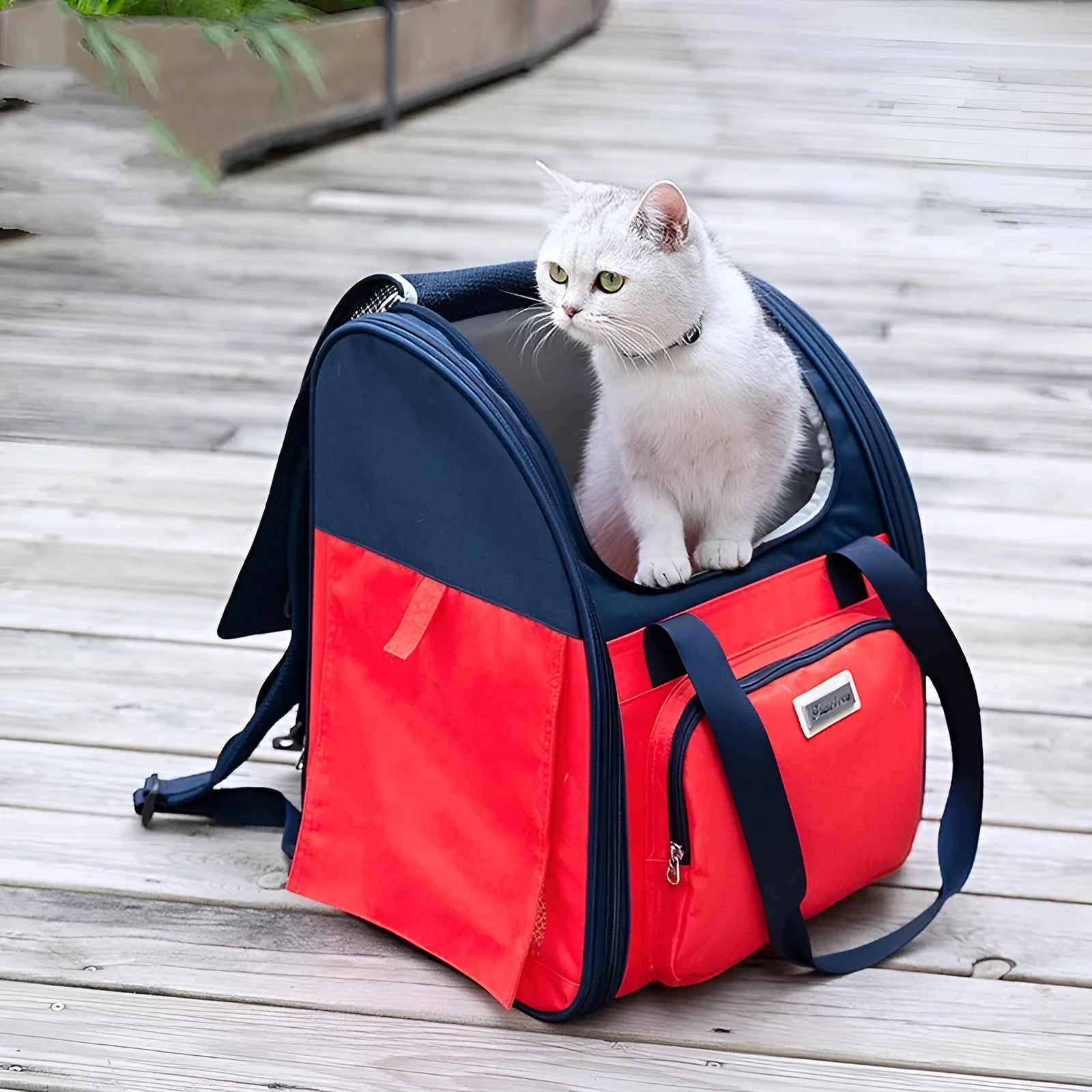 Pet puppy cat breathable backpack waterproof handbag with mesh panels and buckle