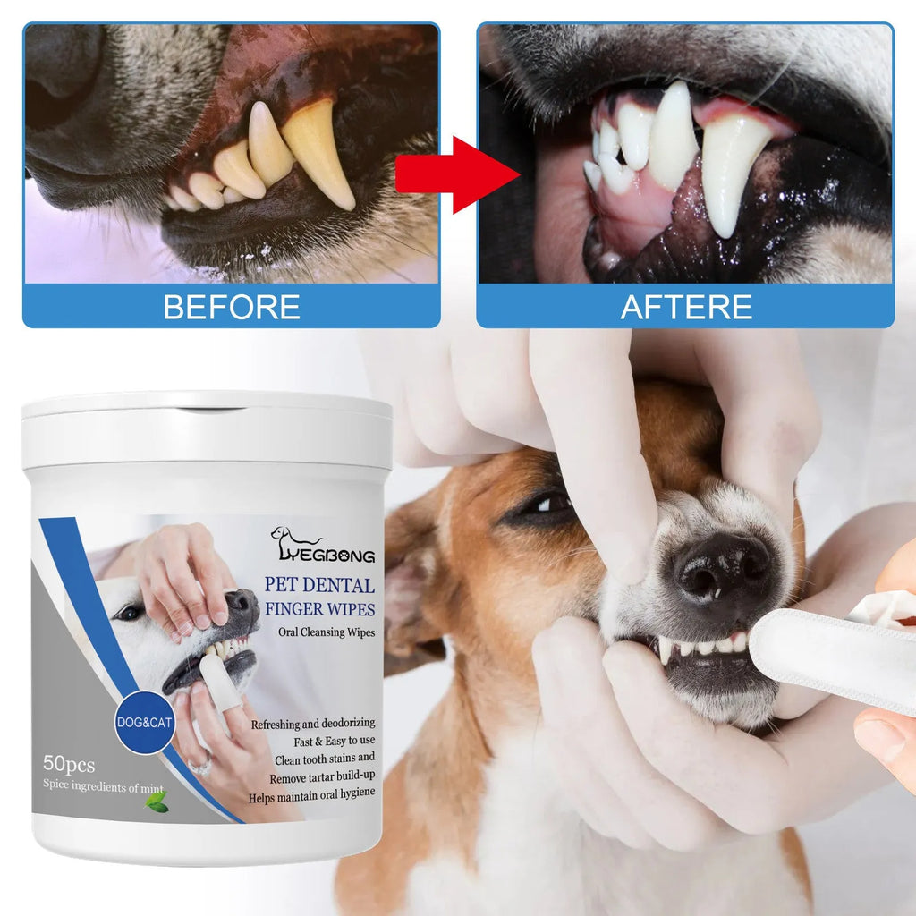 Can of 50 dog teeth cleaning finger wipes with finger stall for oral care