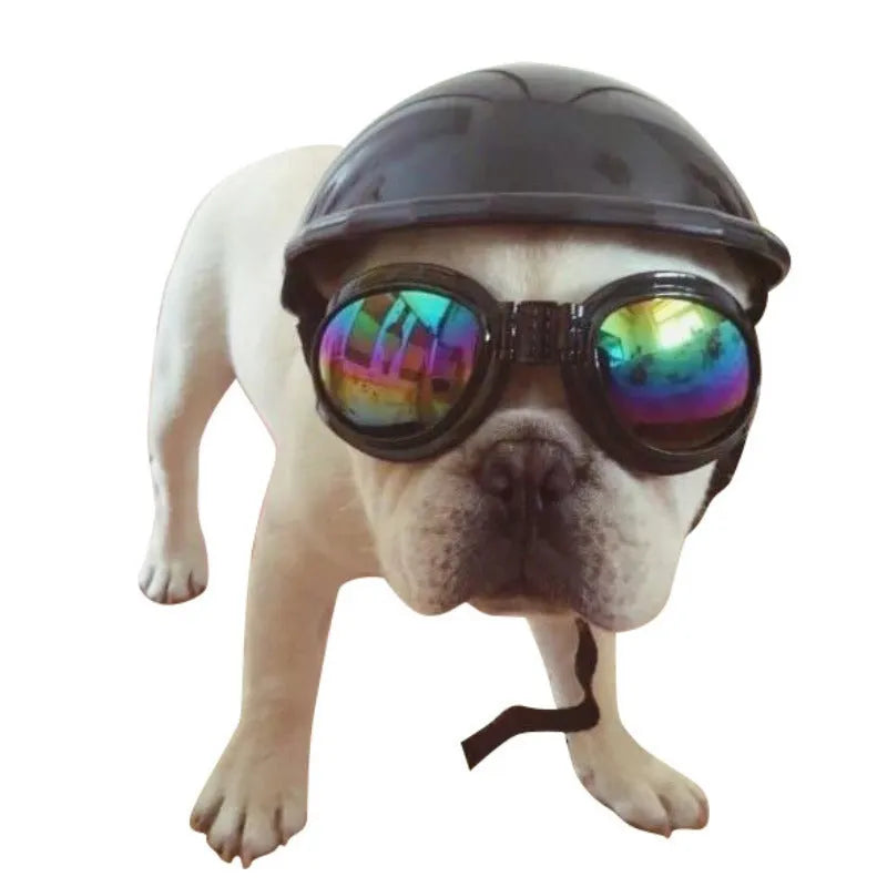 Solid colour plastic dog motorcycle helmet cap in Japanese South Korea style on a pink background.