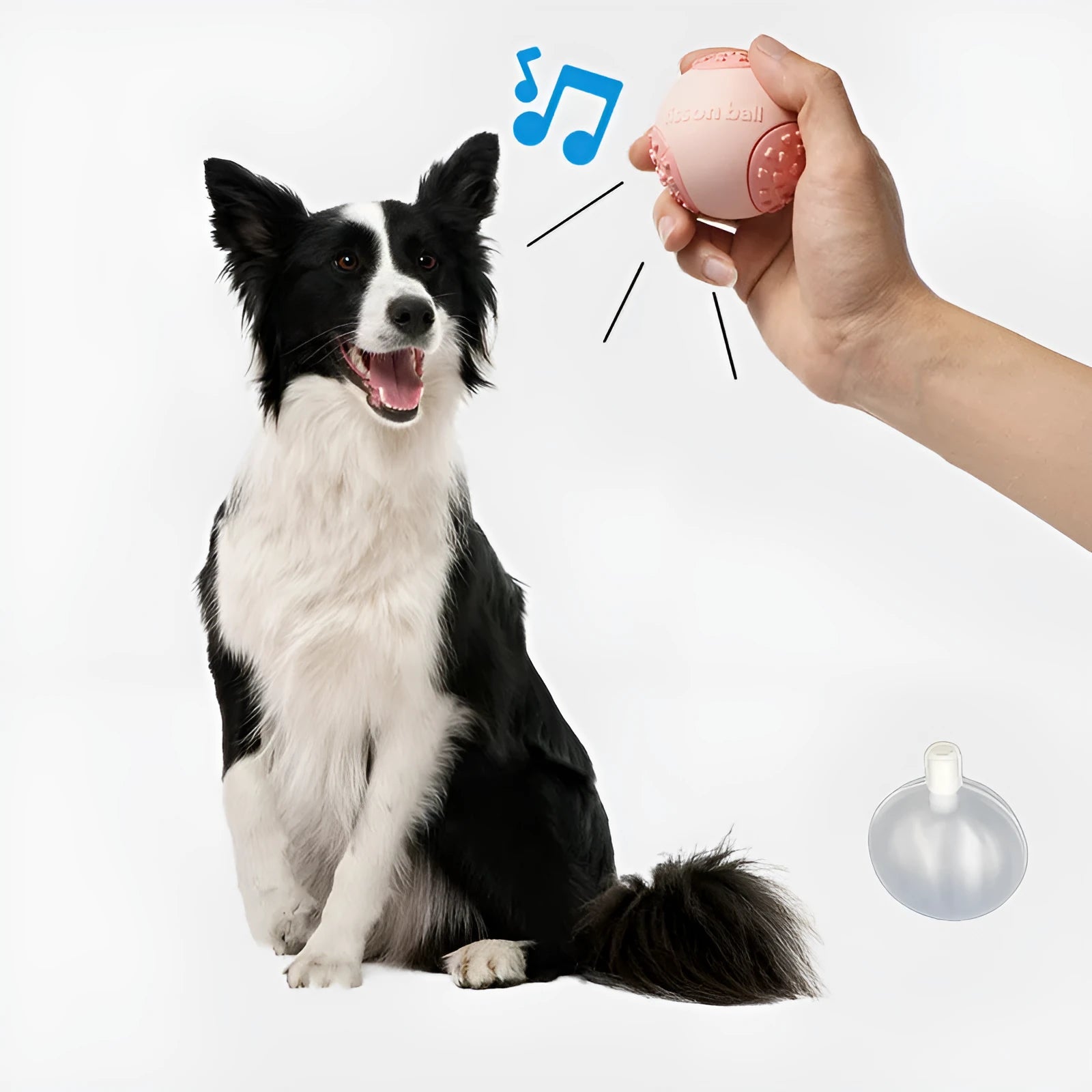 Green and pink 64mm rolling ball dog toys for interactive pet play