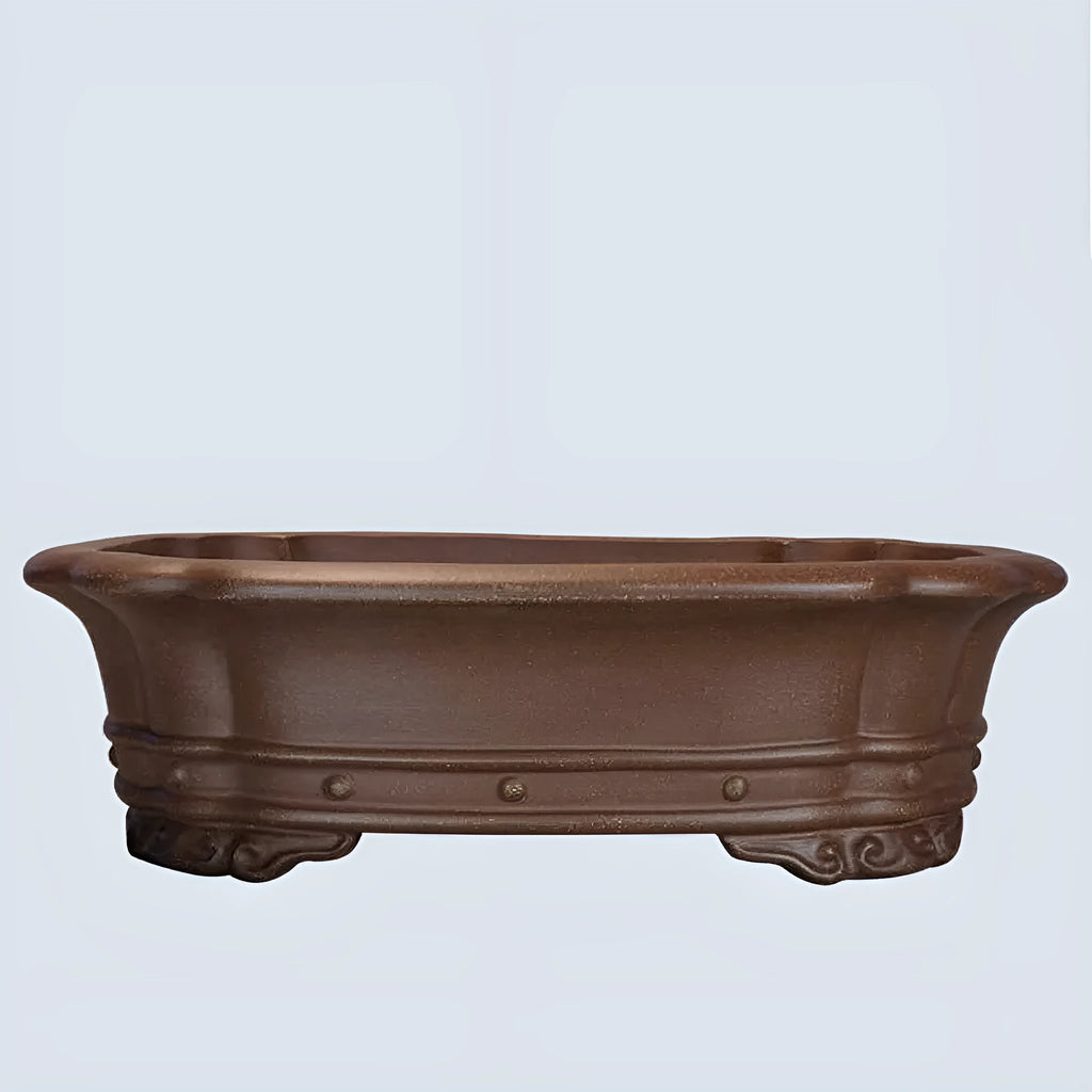 Purple clay rectangular begonia shaped flower pot 51x41cm on desktop with green plants