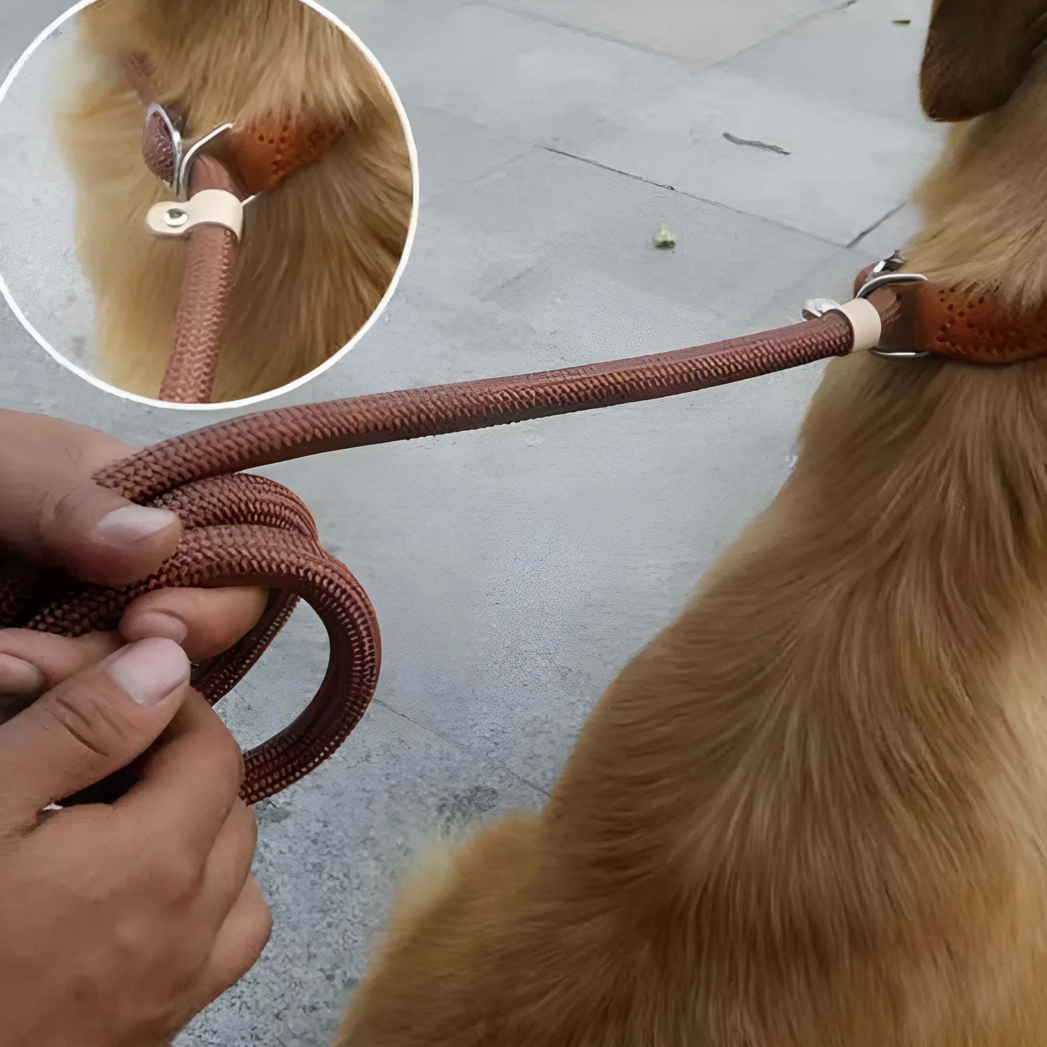 Brown nylon P-chain dog leash with hand-holding rope, 2.1 metres long