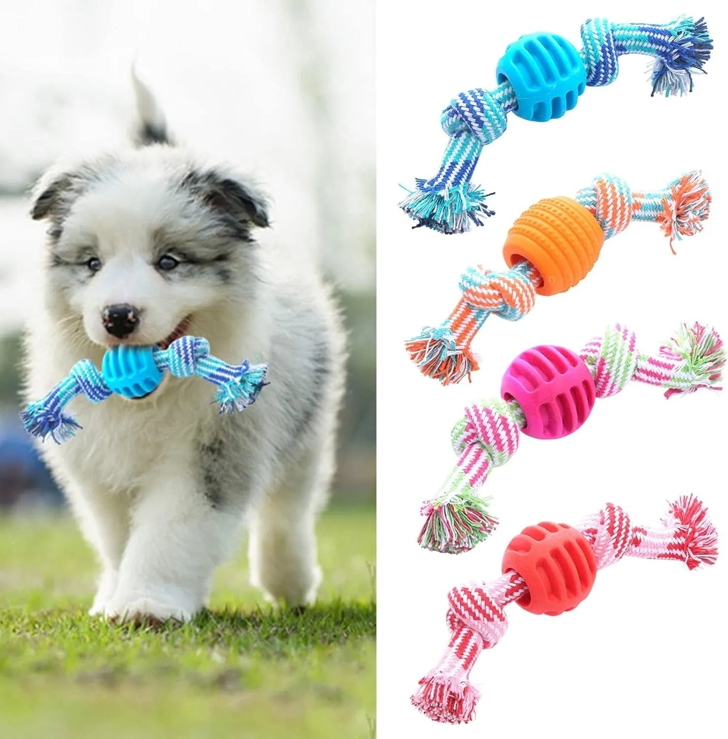 Blue dog chew toy with ropes for dental cleaning and interactive play