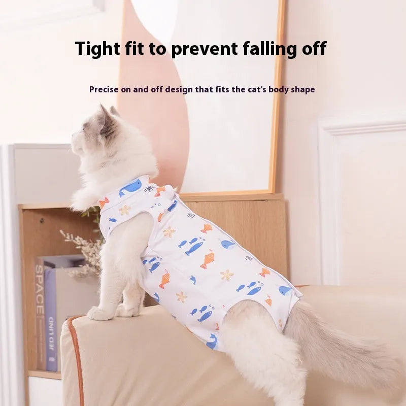 Cat wearing a blue polyester sterilisation recovery suit with velcro fastening on its torso.