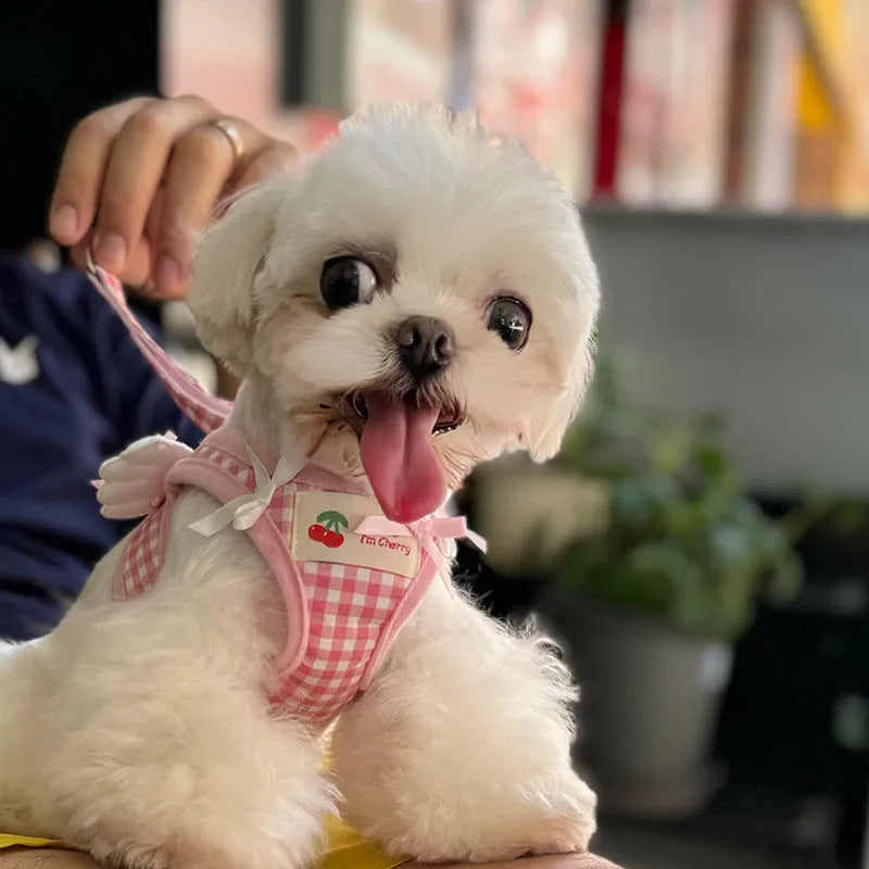 Pink and black small dog harnesses with a hand-holding rope connected at chest and back points.