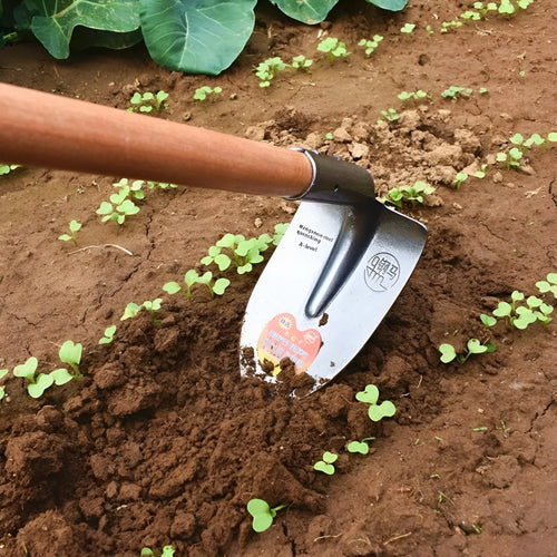 Agricultural pointed hoe tool with manganese steel construction for weeding and ploughing