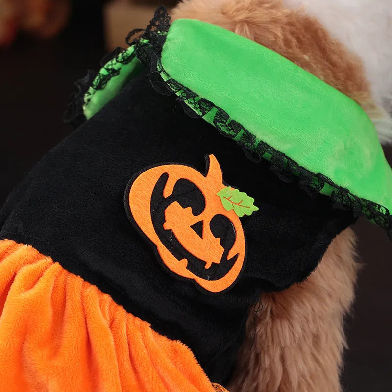 Halloween pet costume with pumpkin skirt and sweater designs in crystal velvet material