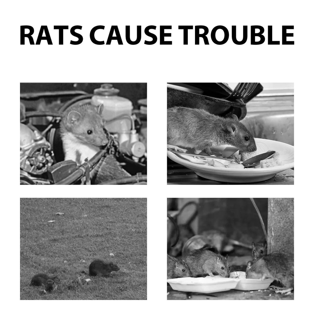 60ml bottle of natural essential oil rat and mouse repellent spray.