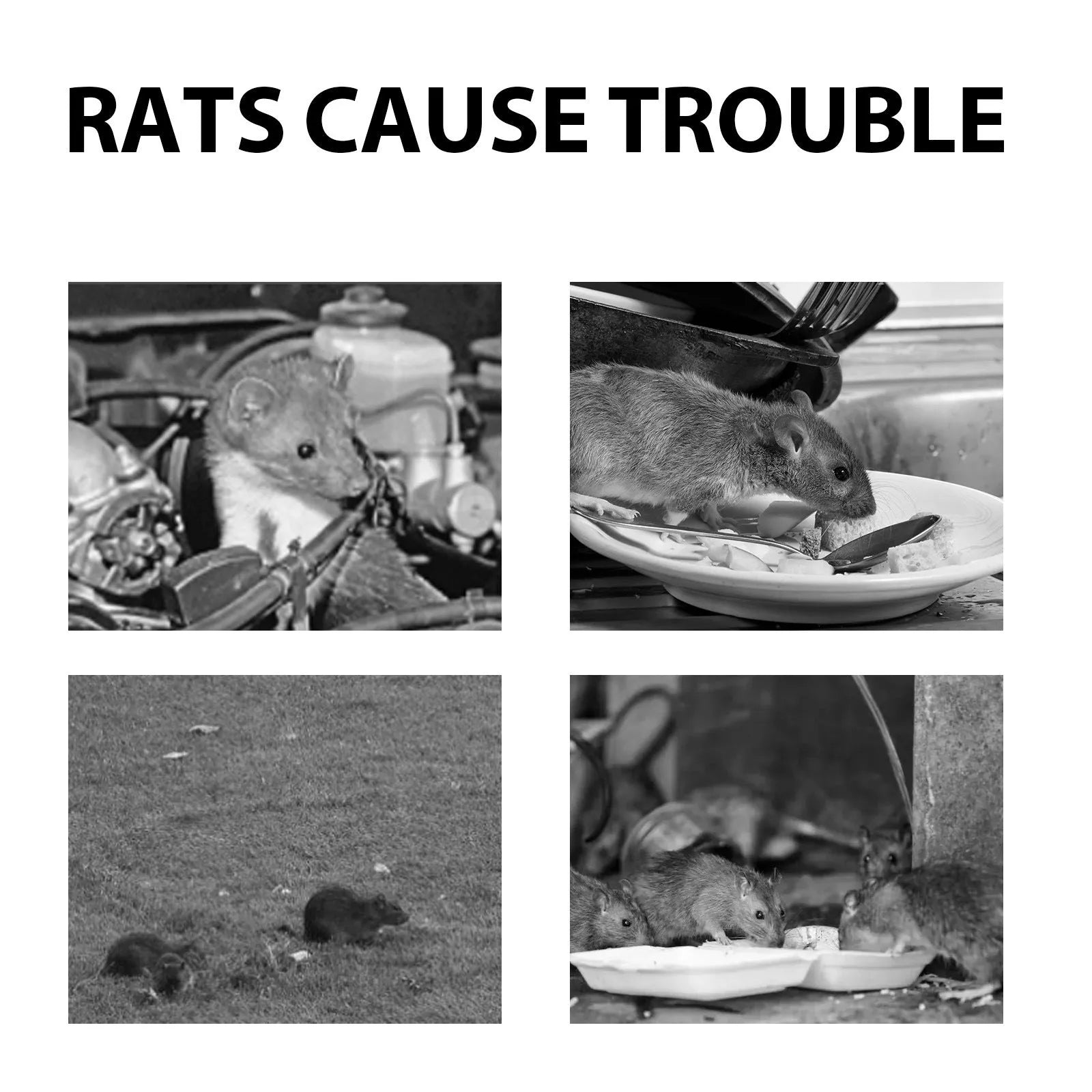 60ml bottle of natural essential oil rat and mouse repellent spray.