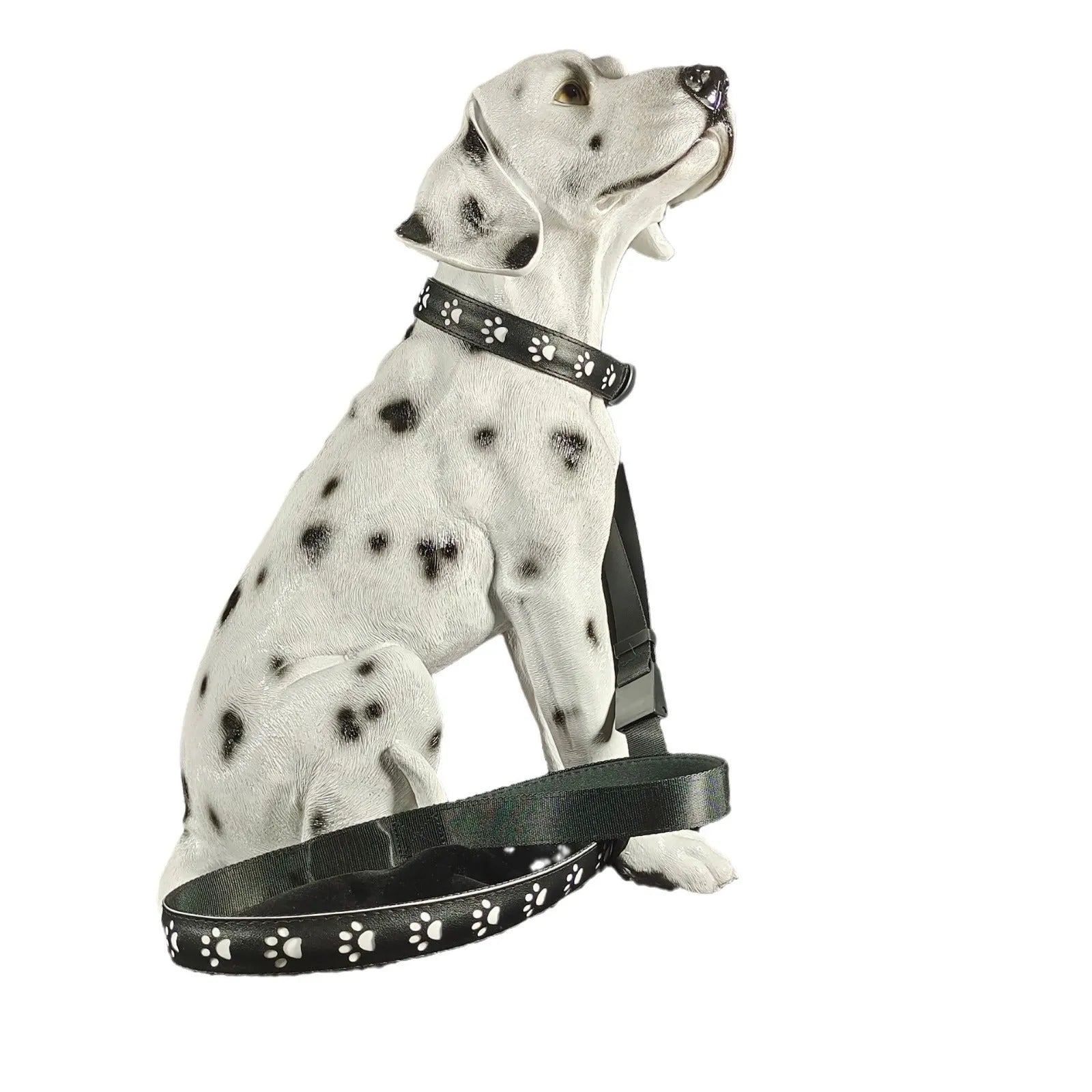 LED luminous dog collar glowing in multiple colours on an adjustable polyester strap.