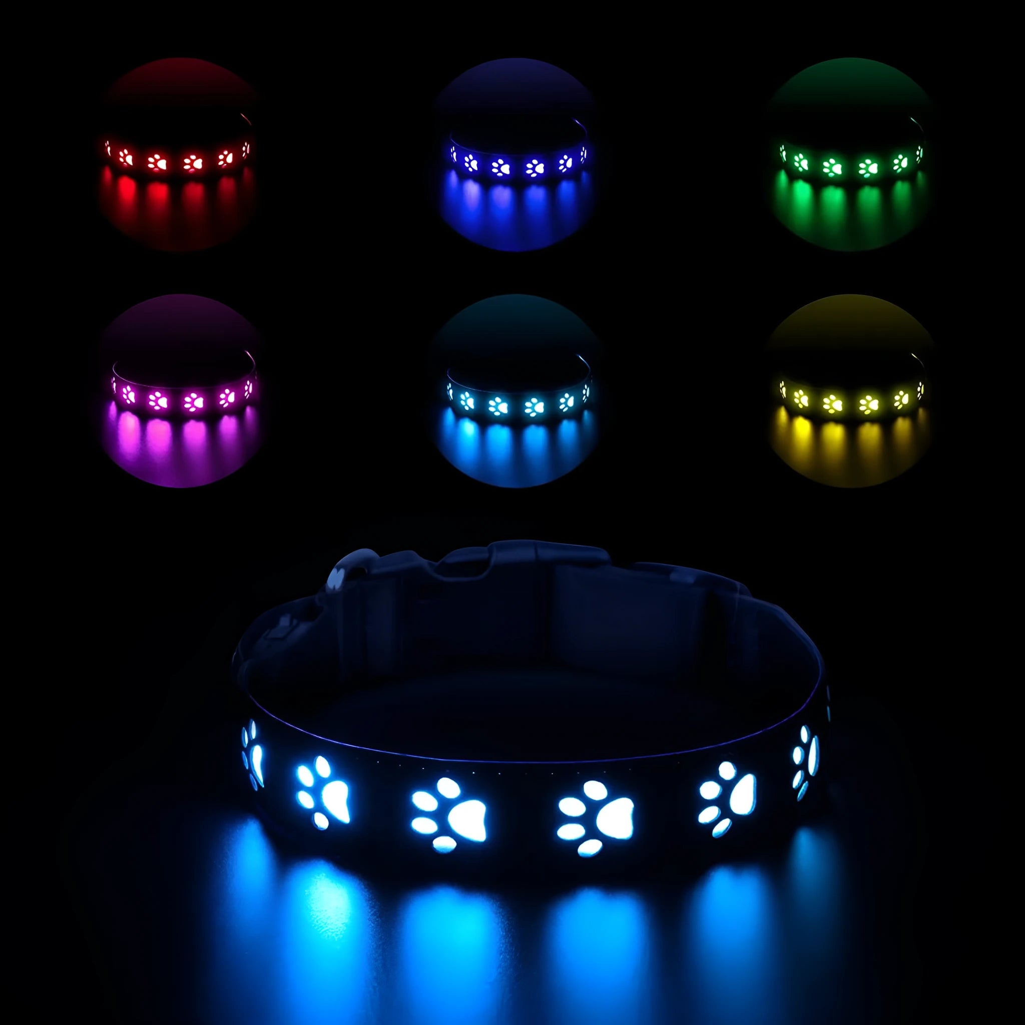 LED luminous dog collar glowing in multiple colours on an adjustable polyester strap.