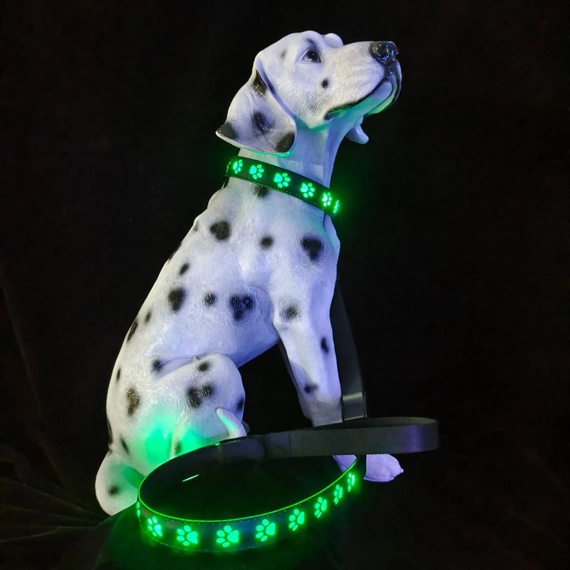 LED luminous dog collar glowing in multiple colours on an adjustable polyester strap.