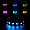 LED luminous dog collar glowing in multiple colours on an adjustable polyester strap.