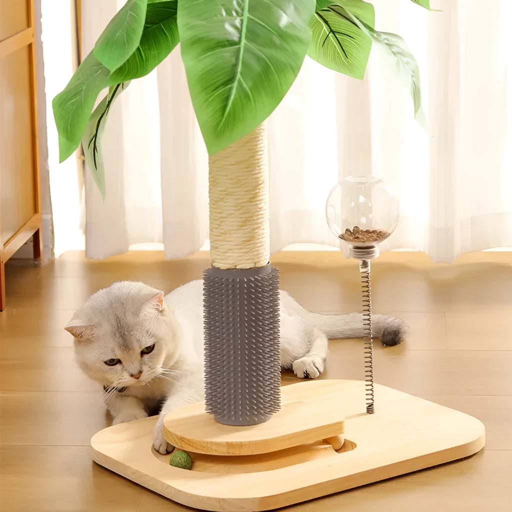 Canna colour gradient wooden cat scratching post with chamfered edges