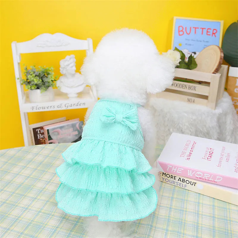Small white dog wearing a rose red layered princess dress with a candy skirt.
