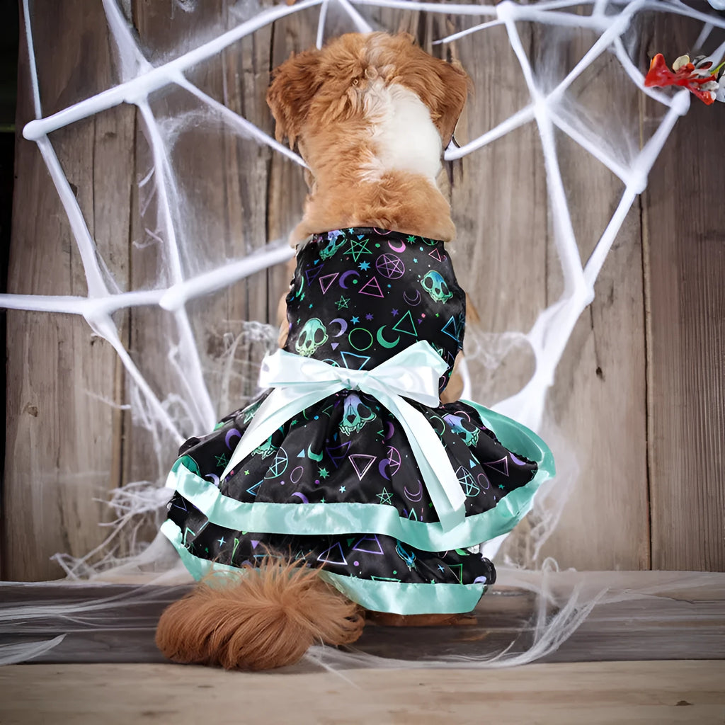 Halloween dog skirt with colourful pumpkin print, double-layer construction, casual pet costume