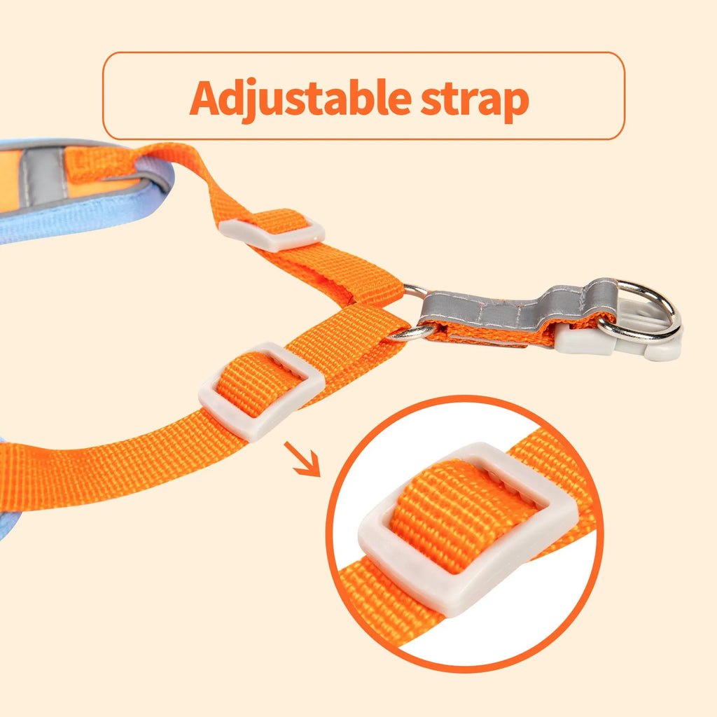 Adjustable rope dog harness in six colours with chest strap for pet control