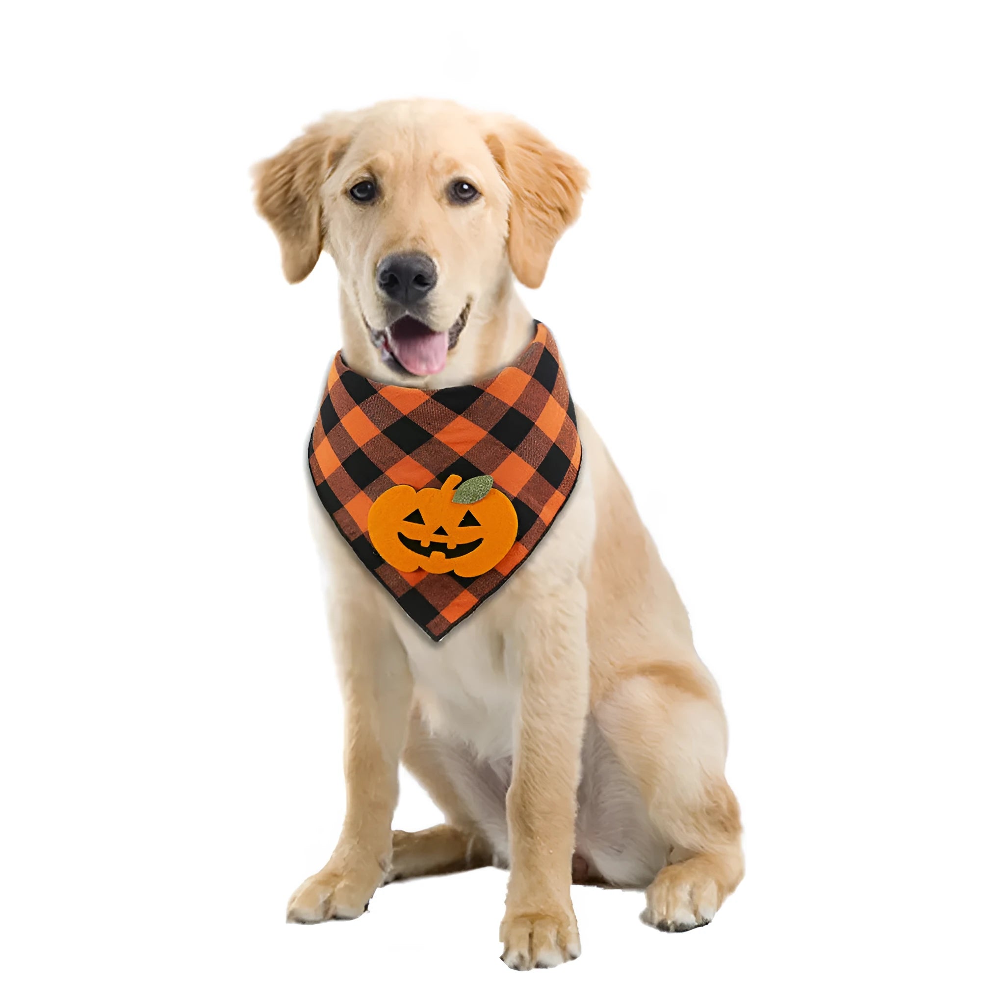 Orange plaid Halloween dog bandana with pumpkin and white skeleton appliques on polyester fabric