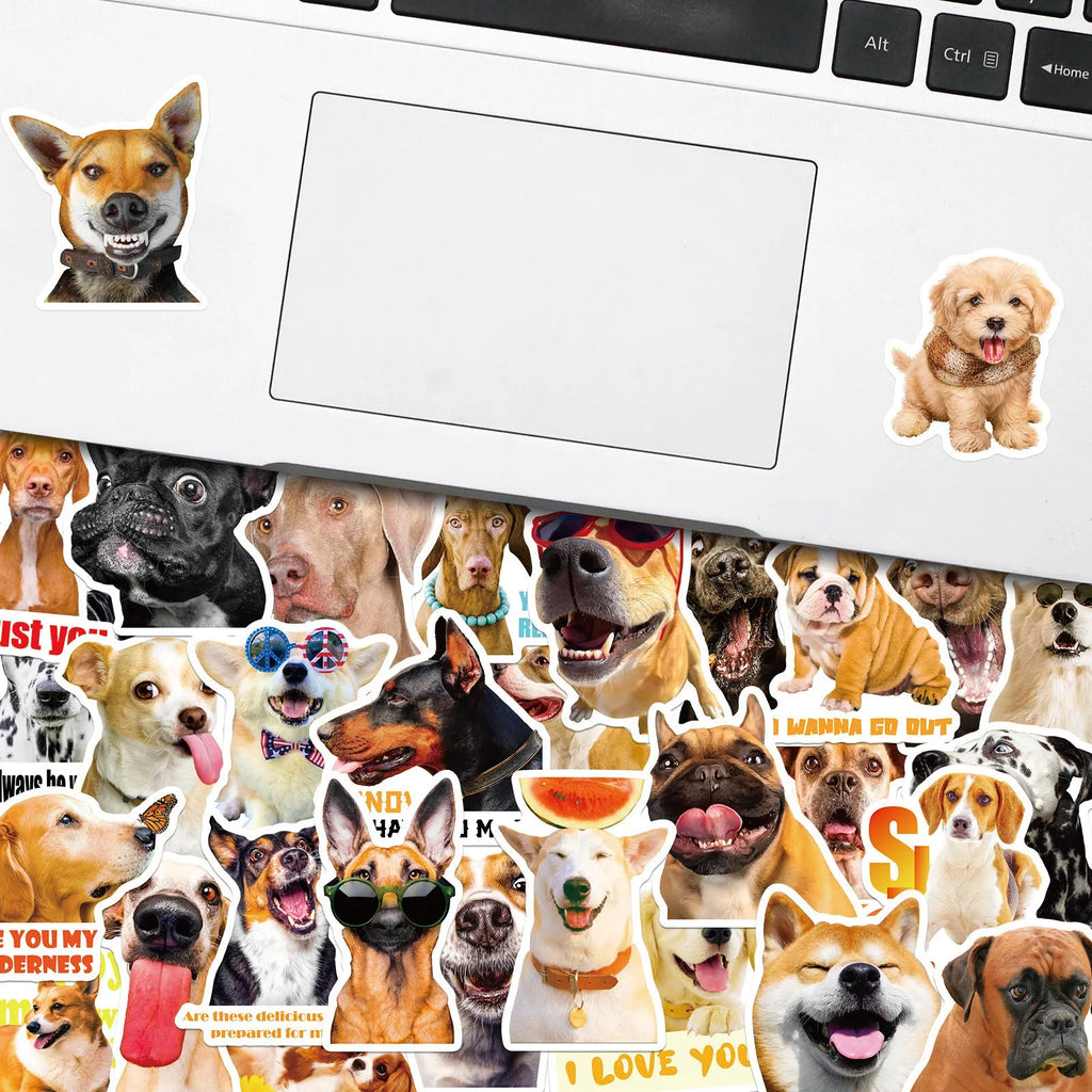 Nordic style realistic dog facial expression stickers pack showing three colour-coded sets with canine designs
