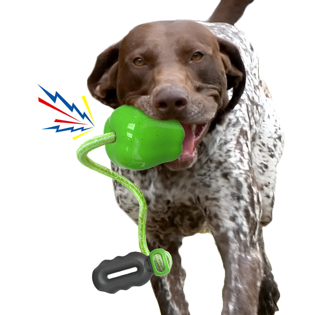 Green plastic apple-shaped dog toy with dropping ball for molar exercise
