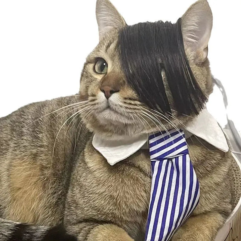 Black polyester cat wig with imitation braid styling for pet dress-up costumes