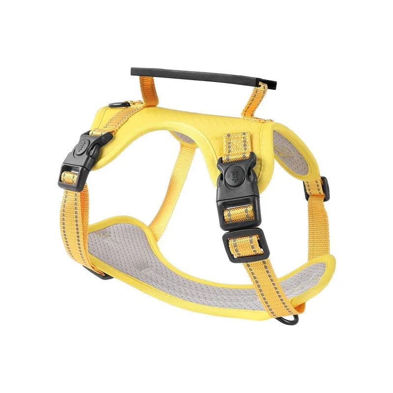 Polyester dog chest harness traction rope in red, shown in a medium size on a dog
