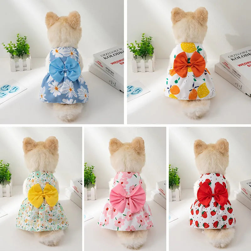 Orange bow floral butterfly knot ultra-thin polyester dress on a small dog.