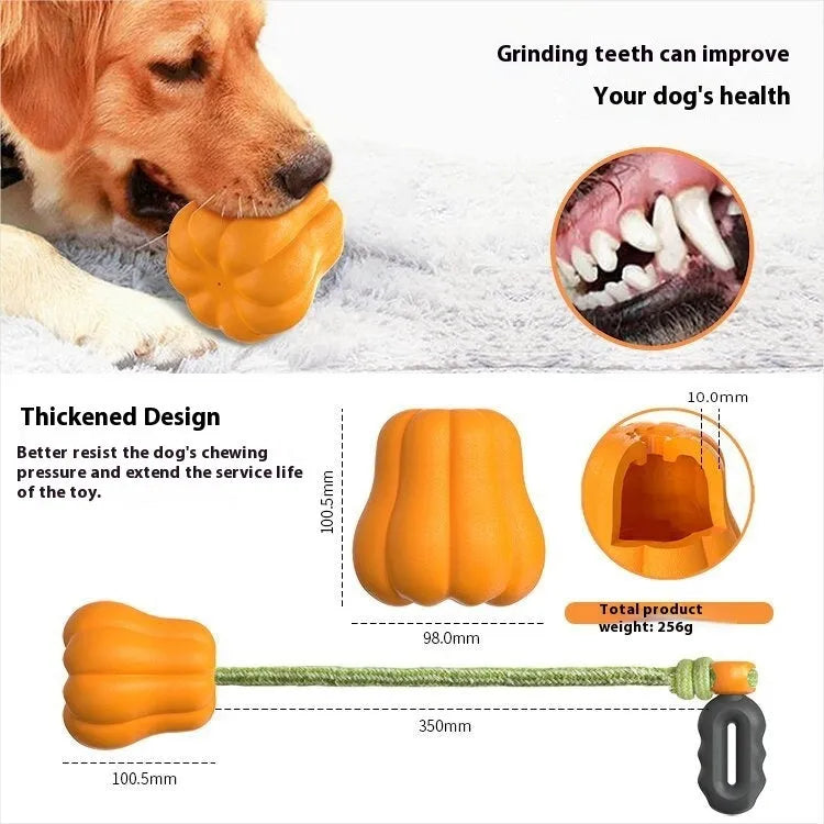 Pumpkin-coloured plastic dog chew toy with an attached rope for tugging and fetch.