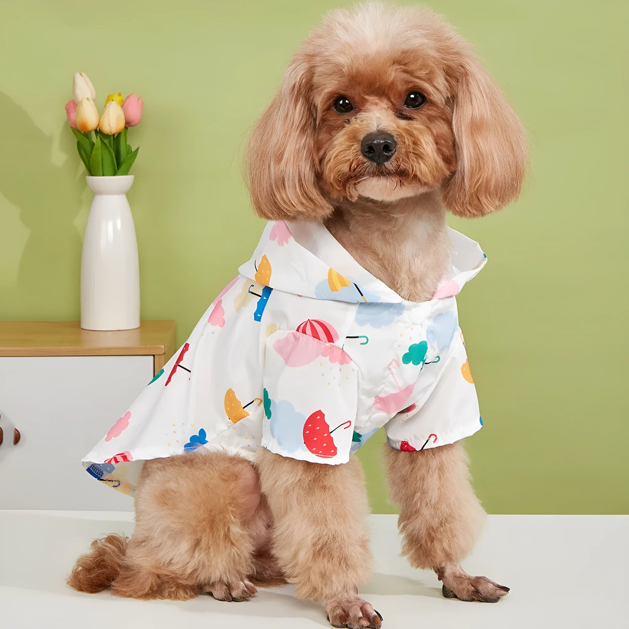 Colourful cartoon umbrella pattern polyester raincoat for a small dog, featuring a hood.