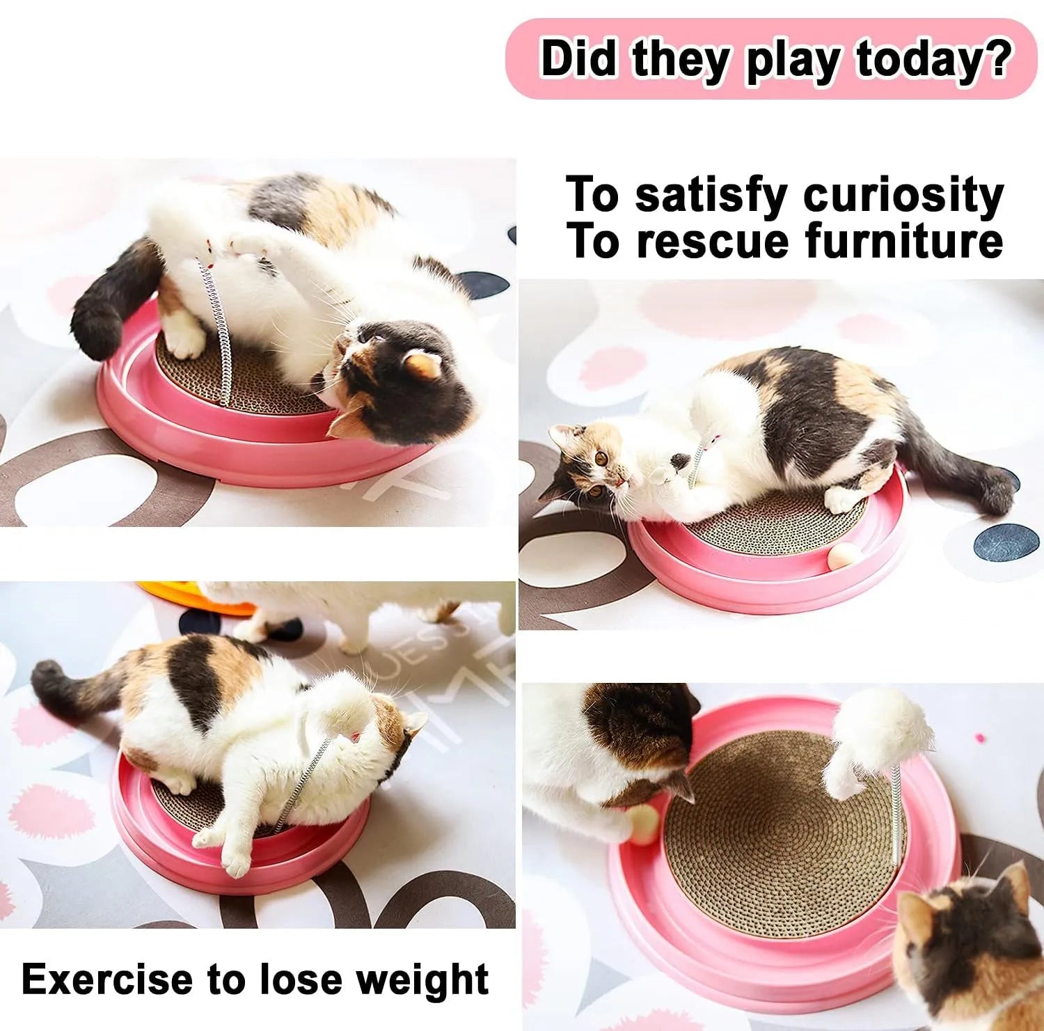 Circular blue cat scratcher with rolling ball track and replaceable corrugated cardboard centre pad