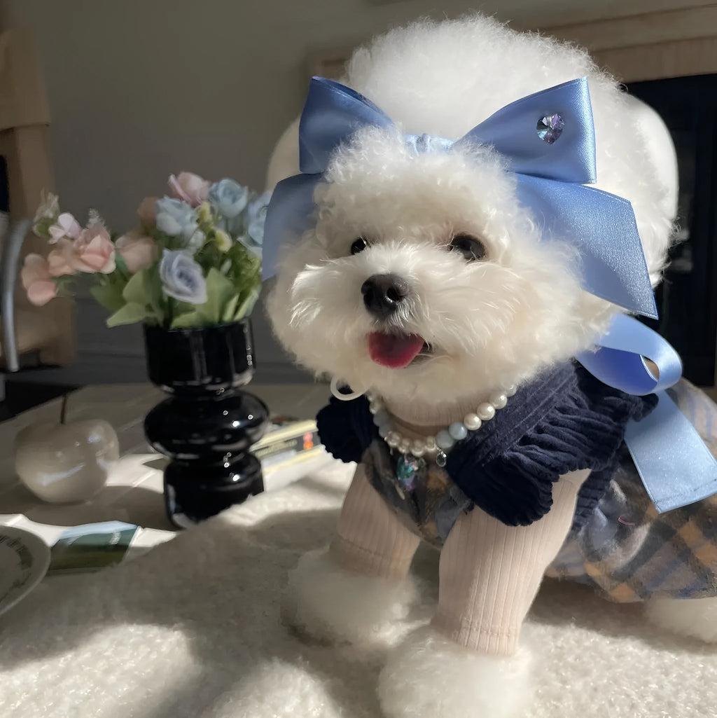 Princess style dog hair band with adjustable bow on canine model, showing polyester cotton jacquard construction